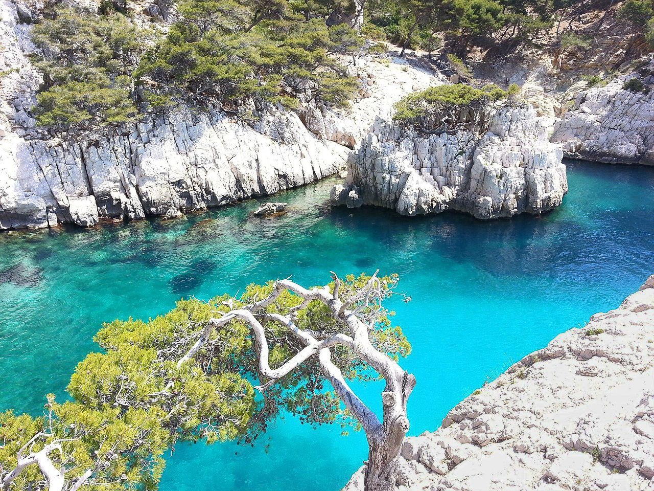 Calanques excursion