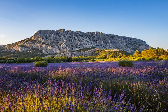 Montagne Sainte‑Victoire E‑Bike Adventure