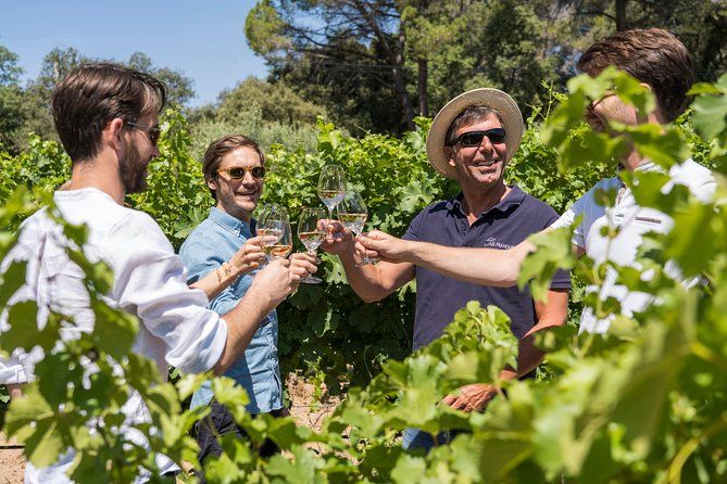 Wine tasting in Côtes de Provence or Bandol